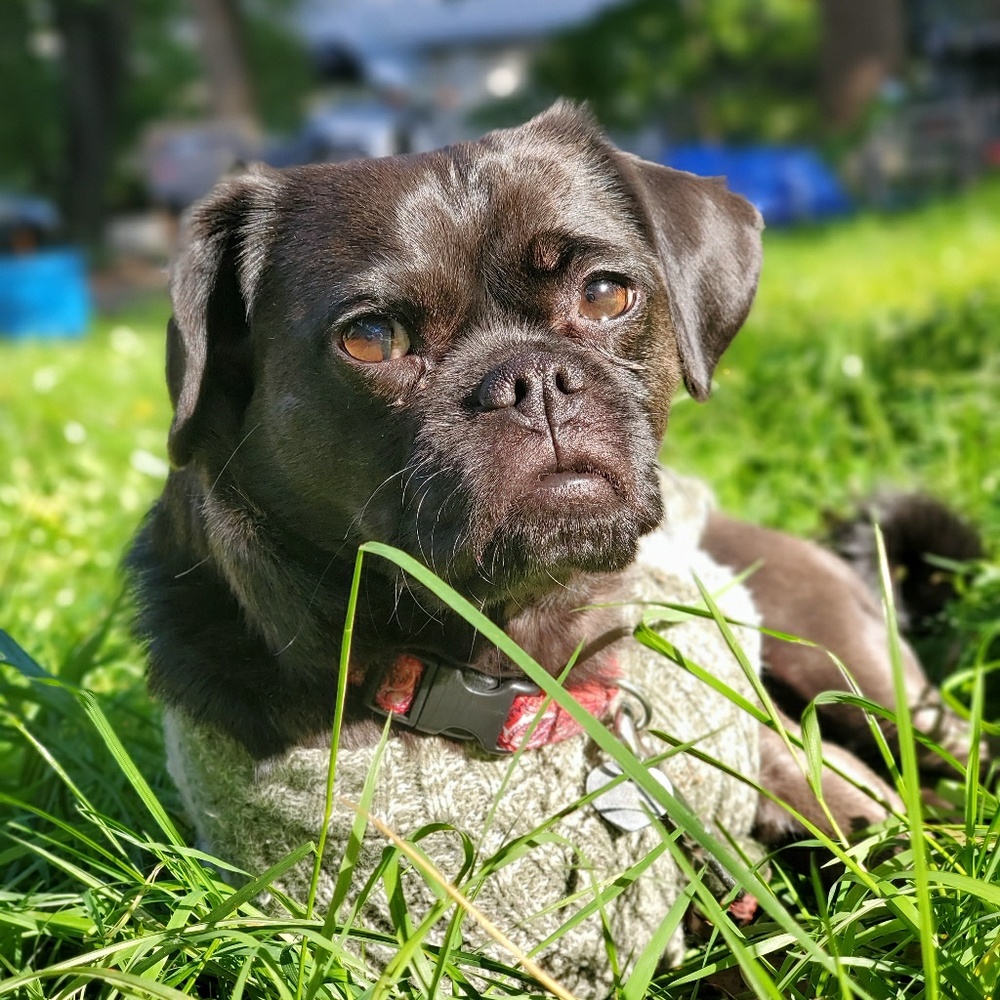 Meet your Posher, Elizabeth